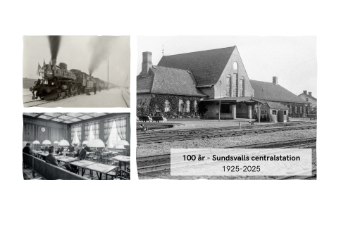 Centralstationen 100 år